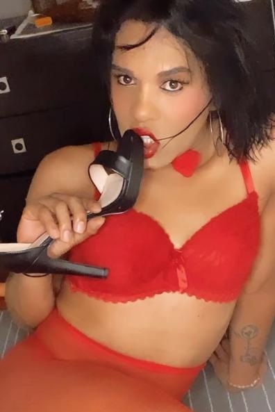 TransTarada